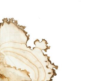 Hexlove : Want To Be Nice (CD)